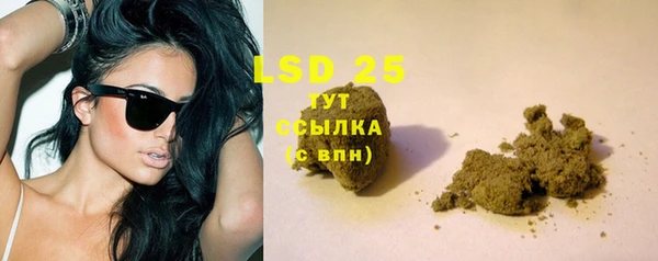 мяу мяу мука Гусев