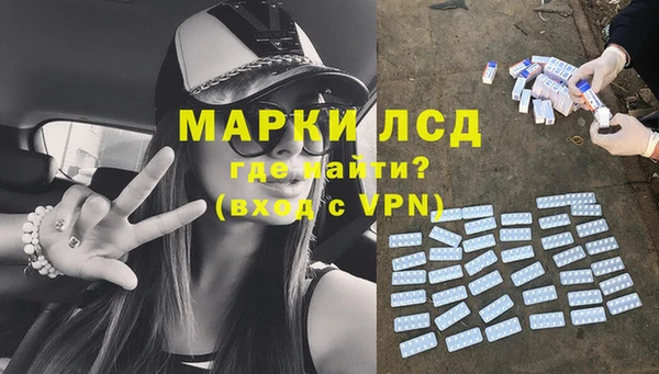 мяу мяу мука Гусев