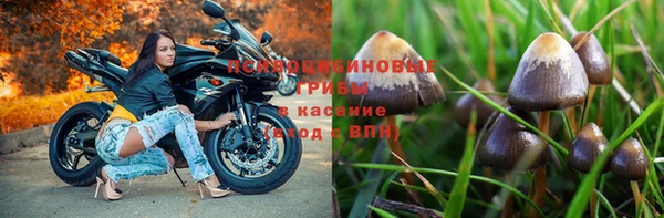 скорость mdpv Гусиноозёрск