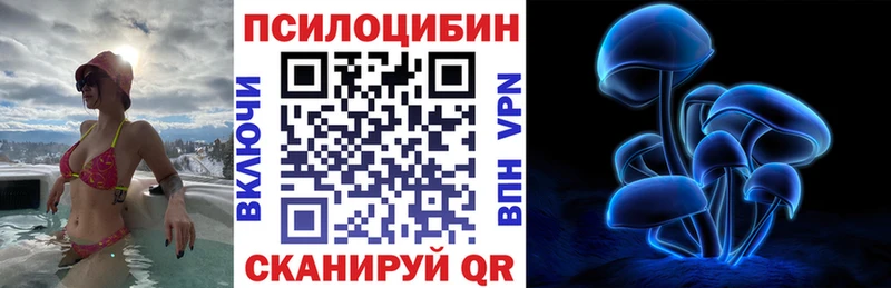 Псилоцибиновые грибы мицелий  Купить закладки  Берёзовка 